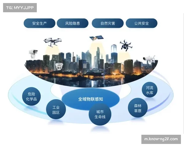 阿莱格里事件揭示名人隐私安全漏洞 网络安全隐患亟待重视