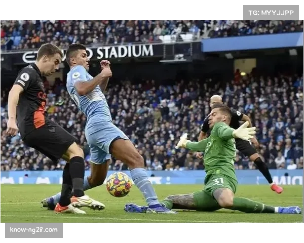 詹姆斯加纳埃弗顿中场枢纽 近六场比赛状态评分7.47